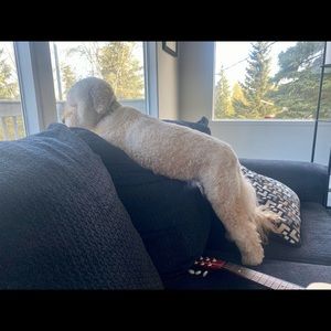 Meet your Posher, M. jeanne